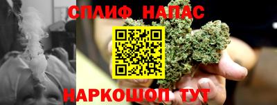 шишки Туймазы