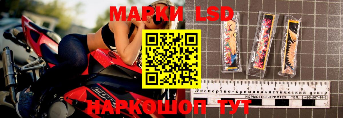 Бердск  Лсд 25 экстази кислота  LSD-25 экстази кислота  Вход с VPN 