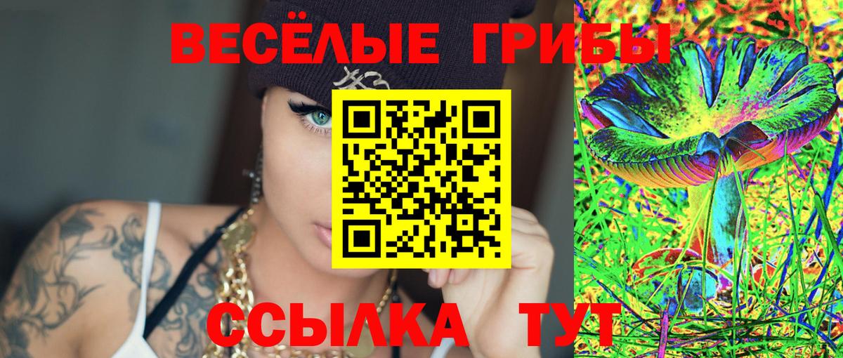 Галлюциногенные грибы мицелий Бердск