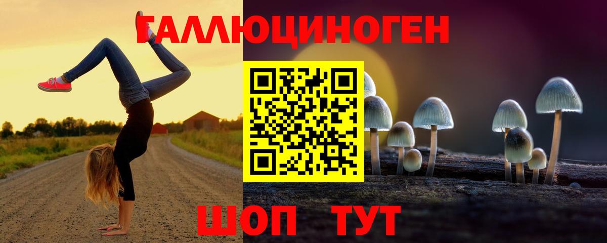 Бердск  Галлюциногенные грибы Psilocybine cubensis  Вход с VPN 