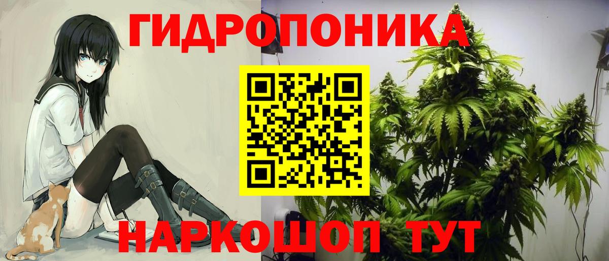 Канабис Amnesia Бердск